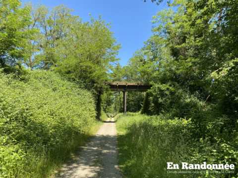 Le Chemin Vert entre Devecey et Moncey
