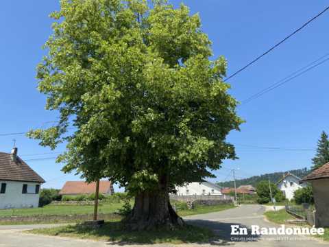 Vallon de Sancey et Cusancin