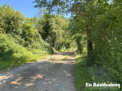 Le Chemin Vert entre Devecey et Moncey