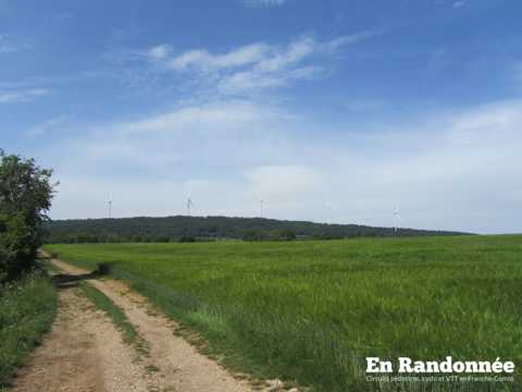 Au pays du Lomont par Crosey-le-Grand