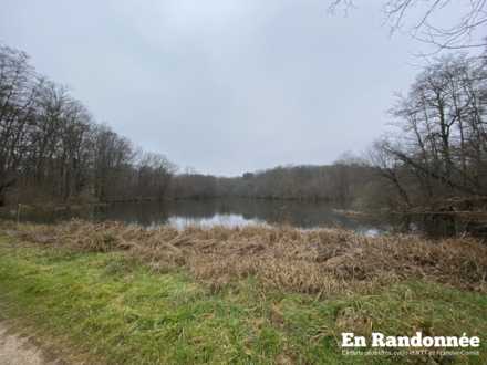 Étang de l'Aurêtre