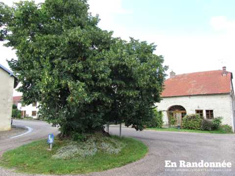 Les villages du bois du Chanois : Boult, Montarlot, Chaux