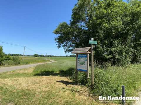 Le Chemin Vert entre Devecey et Moncey