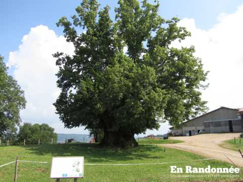 La Tille : Salins-les-bains, La Châtelaine