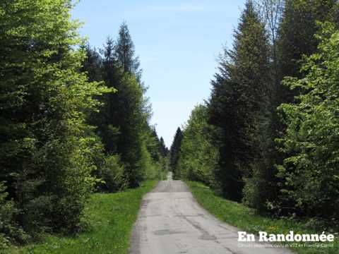 La Route des Sapins